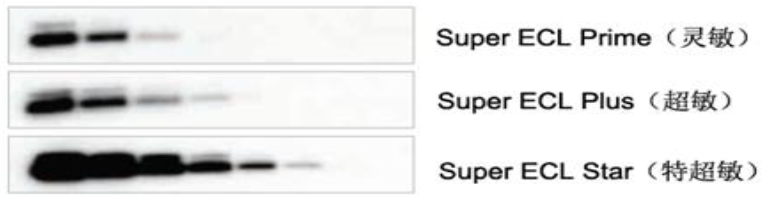 5f07d3cf15509.jpg 1594191745(1).jpg