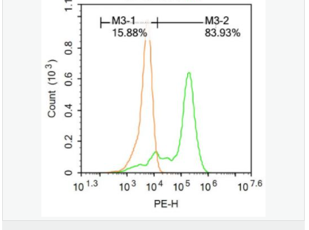 605829d85dd22.png image.png