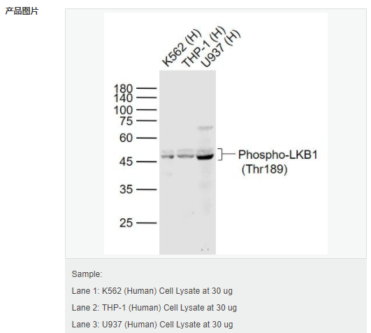 60583e2f17406.png image.png