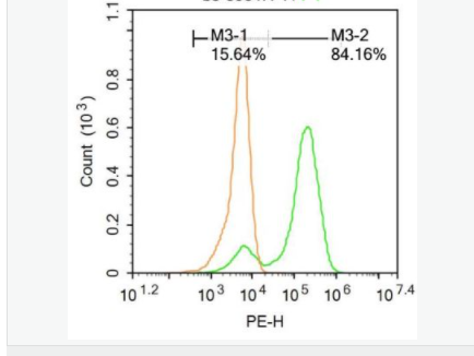 6058479f13cb7.png image.png