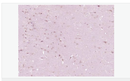 60595b3fa427a.png image.png