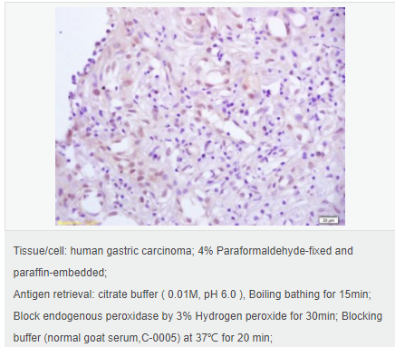 605d891fd8dbc.png image.png