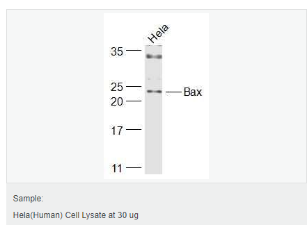 605da179aed77.png image.png