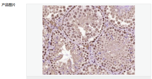 6066d643a4428.png image.png