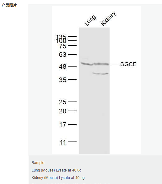 606bba0758c42.png image.png