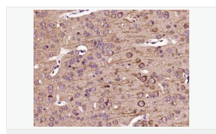 6076413380793.png image.png