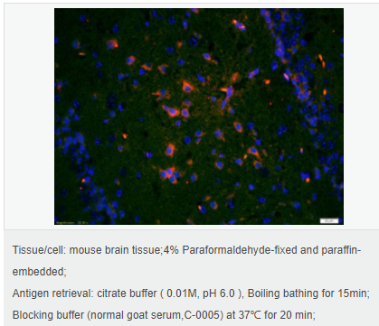 60764781aacd2.png image.png