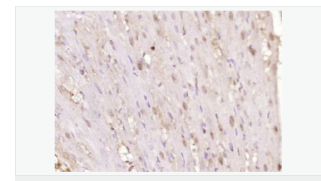 60765950abd8f.png image.png