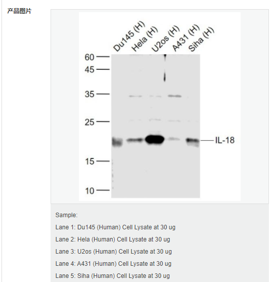 607948d2aaca7.png image.png