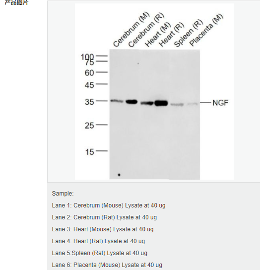 607d2e8488e3c.png image.png