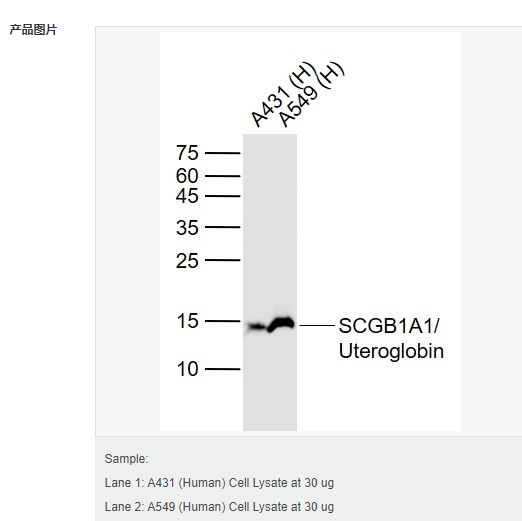 607d39c6c9ed0.png image.png