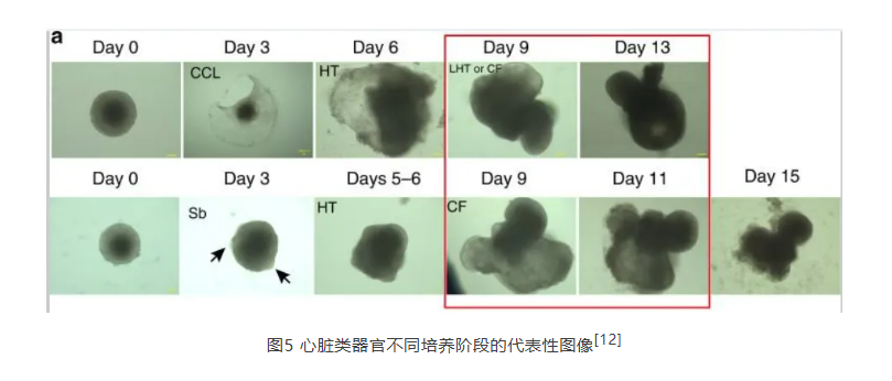 675b8e3f9e94c.png image.png